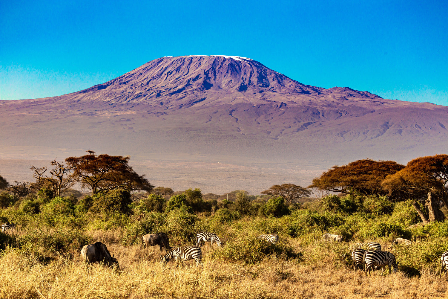 Mount Kilimanjaro summit trek with Fear Naught